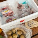 농월정오토캠핑장 이미지