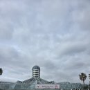 여미지식물원 | 제주 실내 가볼만한곳 여미지식물원 겨울 방문 솔직후기