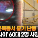 서로 칼부림하던 2명 모두 사망…10대 아들이 흉기로 어머니 살해 이미지