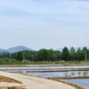 성호로 8길 이미지