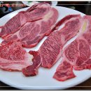 엉게나무 이미지