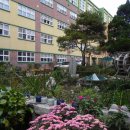 별내초등학교 이미지