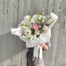 꼬모플레리 이미지