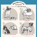 수원-1250 이미지