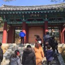 싱싱투어 이미지