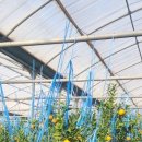 박광용농장 이미지