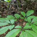 오지5구 이미지