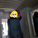 근창 | [부산 삼성청소] 부산 온천장 근창빌라 도배 후 입주청소 후기