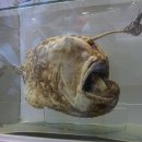 모닝디자인