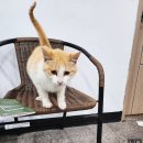 석모1호 이미지