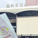 녹색로 41 이미지