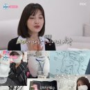 조이애견