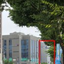 반도약국 | 성남 고등동 메가팩토리 약국 방문 후기 – 주차 팁부터 약 가격, 내부 분위기까지 솔직 리뷰