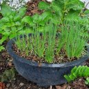 용한농장 이미지