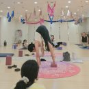 새싹 키즈요가 | [안산요가] 핸즈온워크샵 1편: 요가강사와 회원님들의 &#39;안전한 수련의 시작&#39; C요가 완벽 해부 현장