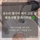 세븐일레븐 수성알파타워점 | 대구 노변동 새치염색 &amp; 대흥동 뿌리염색 추천 : 태후사랑 수성알파시티점 저자극 두피케어 솔직후기 💇‍♀️✨