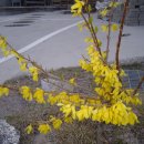 세천농장 이미지