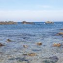 영주점 기아오토큐 | 15년식 더뉴모닝 시동지연 해결방법 모닝 시동 푸드득 냉간시동 안걸릴때 공짜로 고치는 방법!!! (feat...