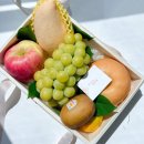 다담과일 이미지