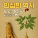 동양인삼약초 | 인삼의 역사, 천 년의 생명력을 증명한 기록 5가지