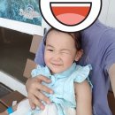 테디스