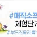 나비잠 - 군산시 구영3길 34-2 | 나비잠