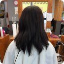 미소헤어칼라 - 익산시 | 미소헤어칼라