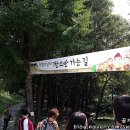 곰지김밥