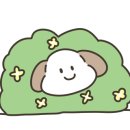 꽃다지 맞은편 이미지