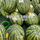 이원마트