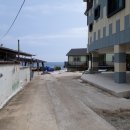 땡칠이 민박 이미지