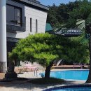 엘렌리조트