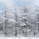 덕주펜션&민박 이미지