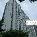 수원-0601 티스토리
