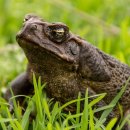 두꺼비 한의원 이미지