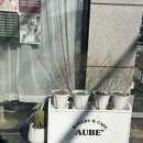 청평터미널 | [청평카페] 카페오브(cafe aube) 청평터미널 소금빵 성지 방문후기🥐