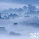 최동진 Daum카페