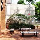 루쏘 카페 앞 이미지