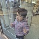 이불왕도매스페이스블라인드포천 | [내 집 가지기의 시작 6. 커튼 설치] 아파트의 분위기를 좌우하는 커튼(스페이스창 태리커튼)