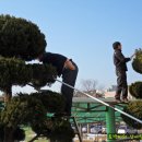 곡선초등학교 이미지