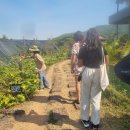 해마농장 이미지