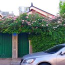 명쾌한내과의원 이미지