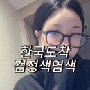 일상공유)싱가포르에서인천(대한항공KE646)/동탄곧레스토랑/동탄헤어더울림 검정색 페이크블랙염색