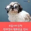 올어바웃펫 이미지