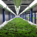 이상천 농장 이미지