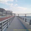 절영해안산책로2호 이미지