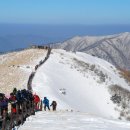 소백산 이미지