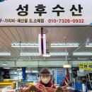 죽도수산 네이버블로그