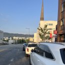 왕손곱창 | 대전 대화동 염통구이 곱창전골 제대로 맛보는 왕손곱창 후기