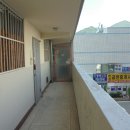 하단동120 이미지